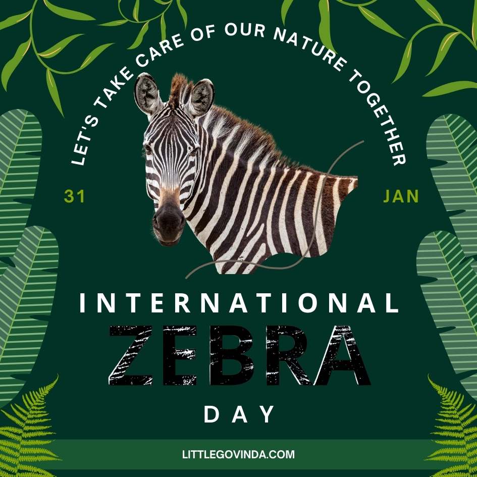 International Zebra Day and 8 awesome Facts about Zebra